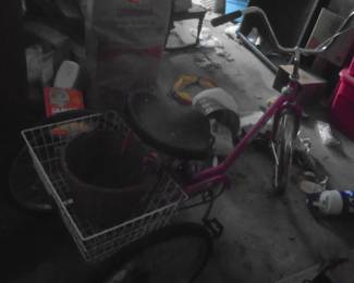 3 wheeled bicycle