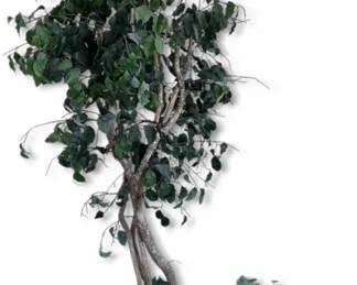 Faux 7ft Tree  Brass Planter