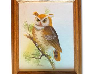Framed Screech Owl Oil Painting, Signed Evans