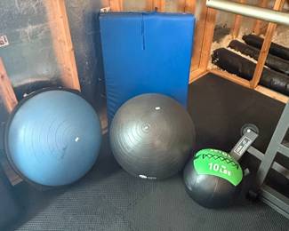 Assorted Exercise Balls and Medicine Ball