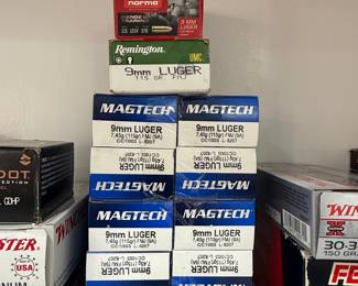 Assorted Ammunition Boxes - Winchester, Federal, Remington, Magtech, Norma, Speer, Hornady, PMC, Blazer