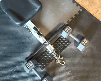 Powerline by Body-Solid PLM180X Lat Pulldown Machine with Dumbbells