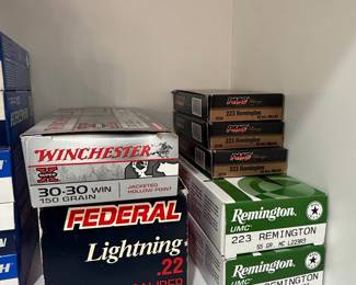 Assorted Ammunition Boxes - Winchester, Federal, Remington, Magtech, Norma, Speer, Hornady, PMC, Blazer