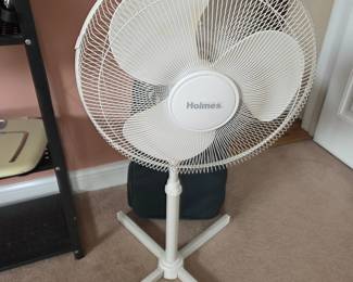 Holmes 3-Speed Oscillating Pedestal Fan