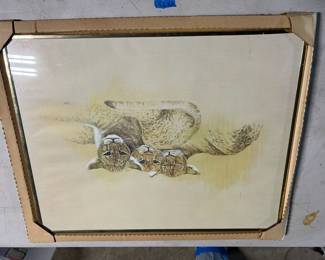 Wildcat family picture