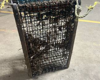 Metal lobster trap