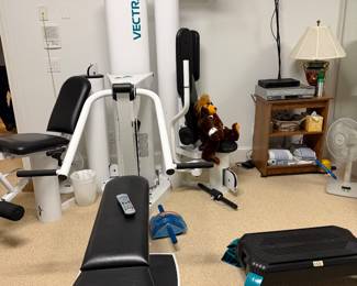 Vector home gym