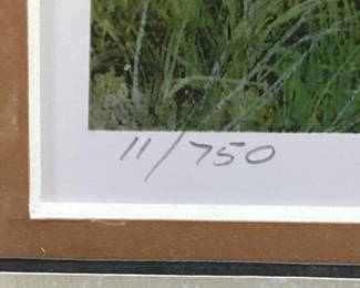  KING, W-S, NC ARTIST TIM BRUCE GHOST SERIES SIGNED #11/750 BACK IN OUR TIME FRAMED PRINT, FARMER w 2 MULES GETTING READY TO TILL