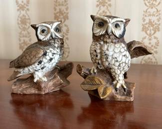 Homco owls