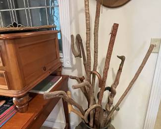 Walking sticks