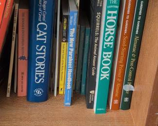 New Asset to Be Processed AT