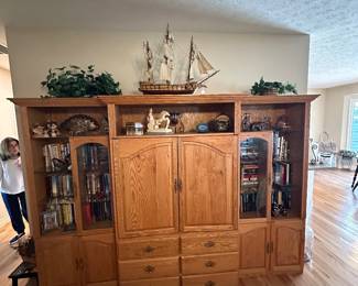 Large TV cabinet that holds books, videos, and many other items