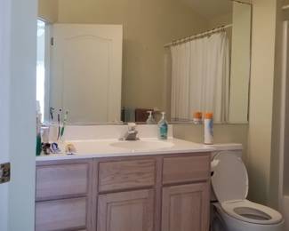 Vanity lights; vanity mirror; bath vanity