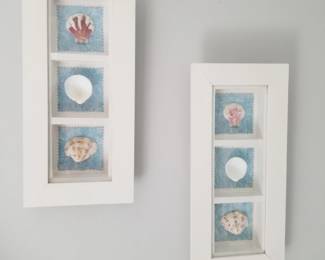 Shell shadowboxes