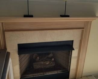 Gas fireplace insert; decorative shore birds