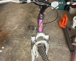 Schwinn Sidewinder 26" Women's Mountain Bike