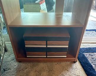 Mid-Century Modern Teak and Walnut Record Cabinet with Mosaic Drawer