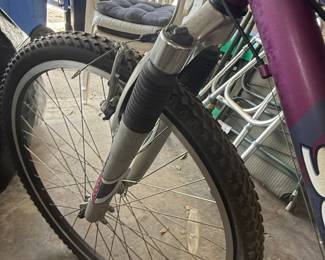 Schwinn Sidewinder 26" Women's Mountain Bike