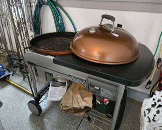 Weber performer grill