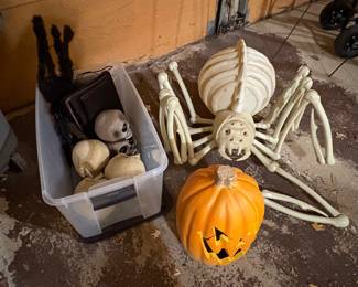 Halloween Decor 