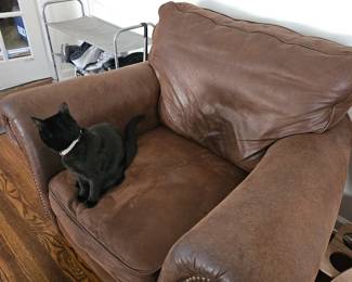 Brown leather lounge chair