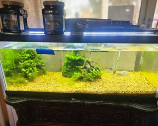 Fish tank set up, $125. Congress with tank ( obviously) , cabinet below,  fish, and I will throw in the new items shown in the photo on top of the tank.