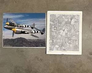Gary E. Fussner Eagle Flies Free Print & P-38 Lightning Poster Aviation Art Lot