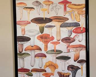 FRAMED MUSHROOM POSTER