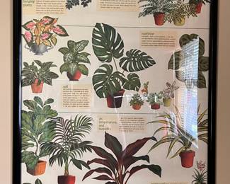 FRAMED PLANT POSTER