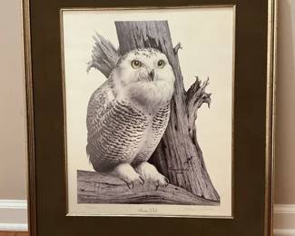 Reagan Word  Snowy Owl