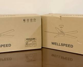 2 WellSpeed Ceiling Fans