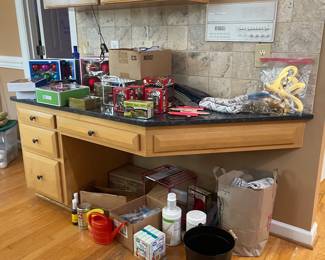 OVERVIEWS OF WHAT IS AVAILABLE SUNDAY 12-4!
