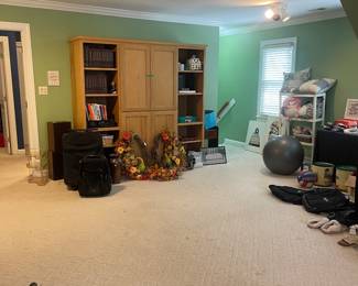 OVERVIEWS OF WHAT IS AVAILABLE SUNDAY 12-4!