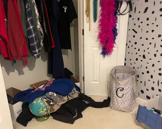 OVERVIEWS OF WHAT IS AVAILABLE SUNDAY 12-4!