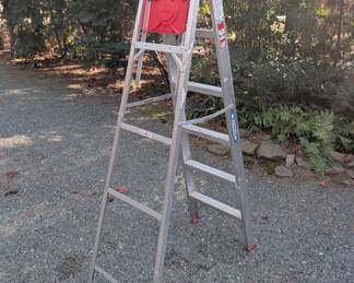 C112 - $50. Werner Sat-T-Master 6' Model 356. 200#