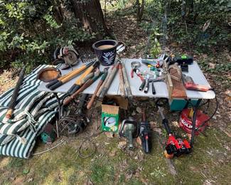 Assorted Yard and Power Tools