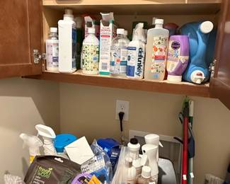 Assorted Household Cleaning and Maintenance Supplies