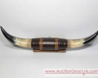 1 Mounted Steer Horns