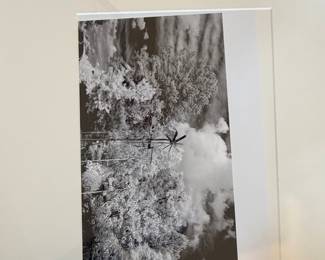 Carson Boone "Windmill and Trees" Black and White Photograph