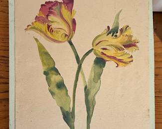 Watercolor Painting of Two Parrot Tulips by Annabel Fairfax