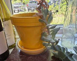 Yellow Ceramic Planter with Saucer