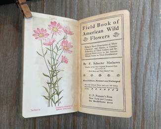 Filed Book of American Wild Flowers Vintage Botany Book