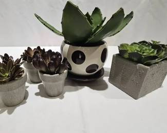 Faux Succulent Plants in Containers 