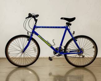 Schwinn Bike