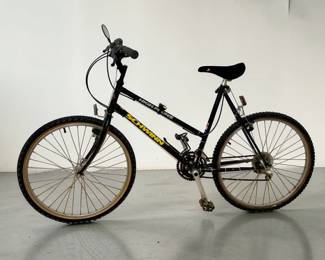 Schwinn Bike