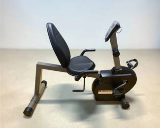 Schwinn Exercise Bike