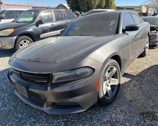 500  2019 Dodge Charger 