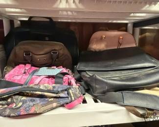 6106  Purses and Carry Bags 