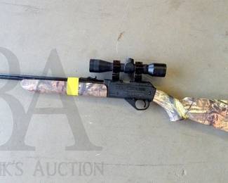 daisy powerline 35 bb rifle