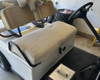 Golf cart 